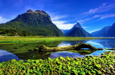 New Zealand Tour Packages